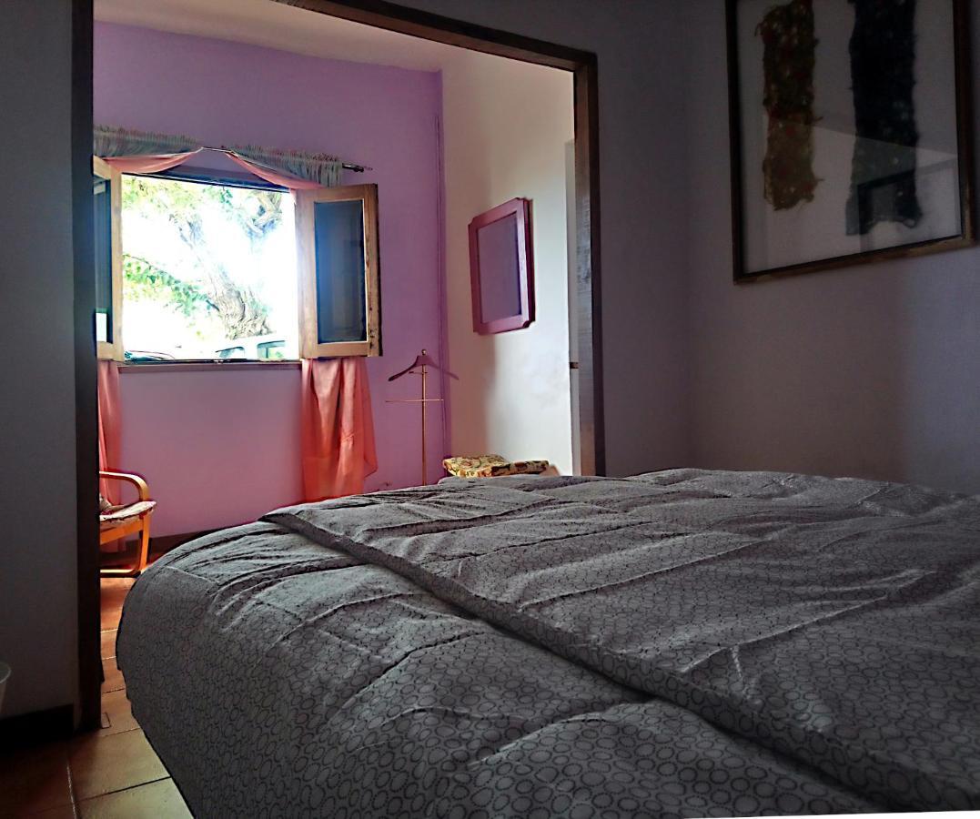 The Violet House Muy Cerca Del Aeropuerto Tenerife Norte ลาลากูนา ภายนอก รูปภาพ